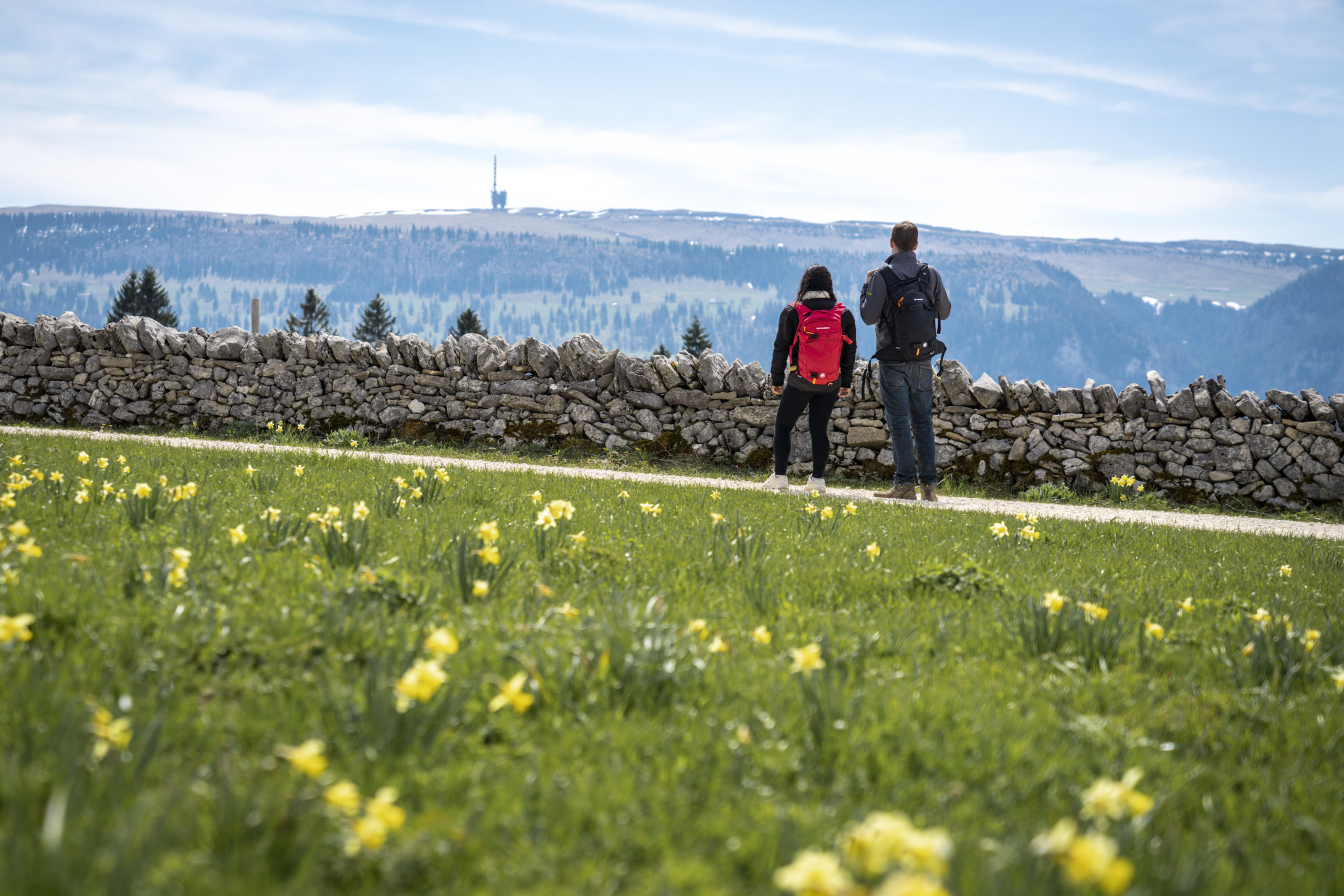 Gästepaar wandert auf der Savurando Tour um St-Imier und geniesst den Ausblick zum Chasseral.